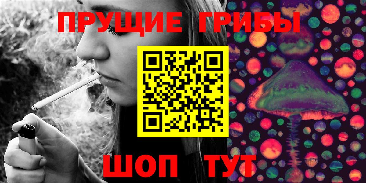 Сургут  Галлюциногенные грибы Cubensis  Вход с VPN 