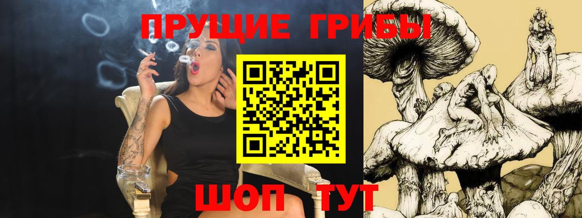 Псилоцибиновые грибы мухоморы Сургут